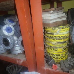 Globe Valves and Sealing Materials